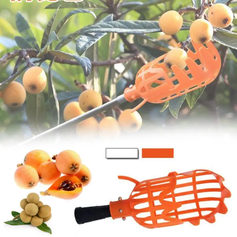 Recogedor de Frutas de plástico, palo de fruta, naranja, manzana, ciruela, pera, melocotón, cesta de jardinería, herramienta de recolección de jardín, 1 ud.