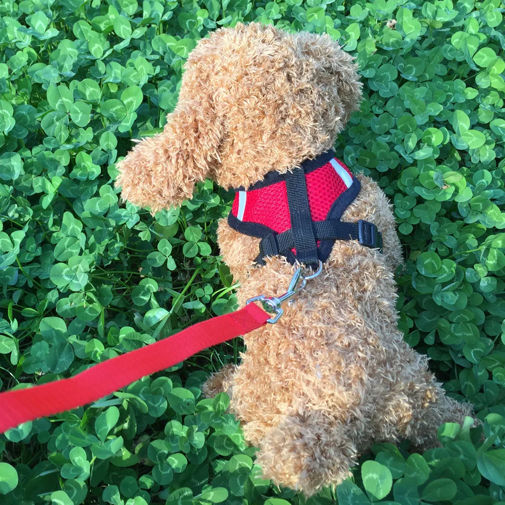 Dog Harness Ling Chong Pet Leads Chest Straps Small Adjustable Dogs Training Collar | Дом и сад