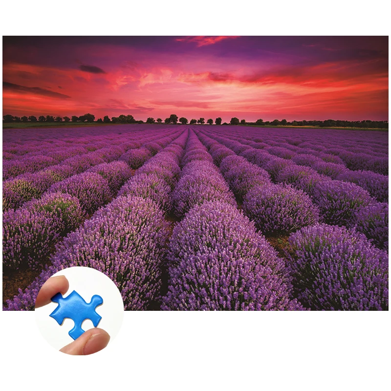 Jigsaw Puzzle 1000 Pieces Paper Education Toys Unique France Provence Lavender Field Summer Sunset Landscape