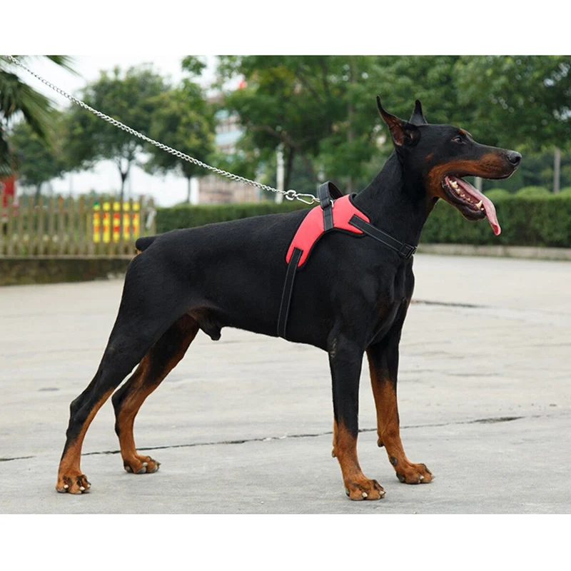 

Heavy Duty Adjustable No-Choke Dog Harness Oxford Cloth Dogs Vest for Small Medium Large Dogs Gilet con cinturino per cani BDF99
