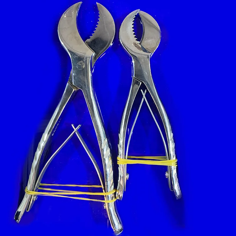 Стоматологическая лаборатория гипсовые ножницы стоматология материал