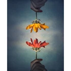 DIY картина по номерам набор цветов картина маслом по номерам пейзаж настенная живопись на холсте искусство украшения дома подарок