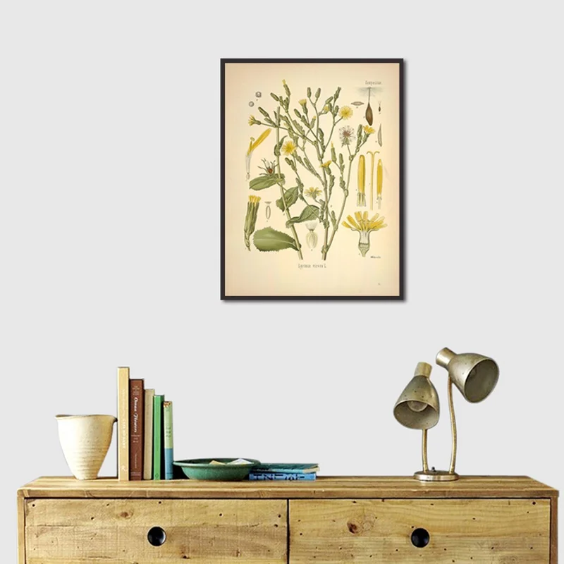 

Botanical Flowers Canvas Painting Abstract Wall Art Biology Plants Picture Posters Print for Living Room Corridor Decoration
