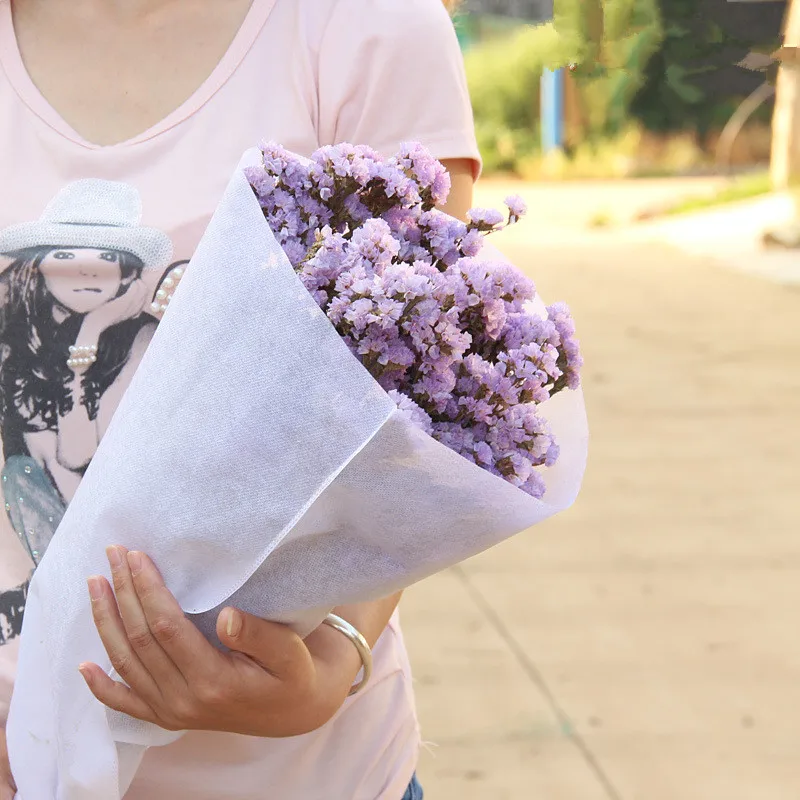 10 шт. консервированные свежего сушенного забывчивых цветами филиалом украшение