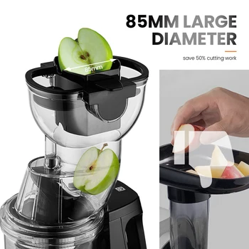 MIUI FilterFree Slow Juicer with Stainless Steel Strainer(FFS6),8-Stage Screw Masticating Original Juicer,Commercial Flagship 2