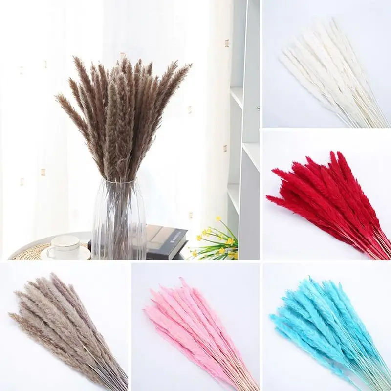 

Sale Real Para Decoracion 15Pcs Dried Small Pampas Grass Flowers Pantas Artificiales Plants Decor Wedding Sechee Home Dekoration