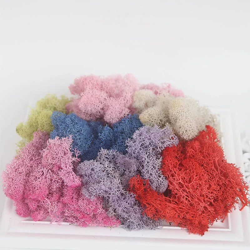 10 г/упак. искусственное растение вечная жизнь мох домашний сад микропейзаж