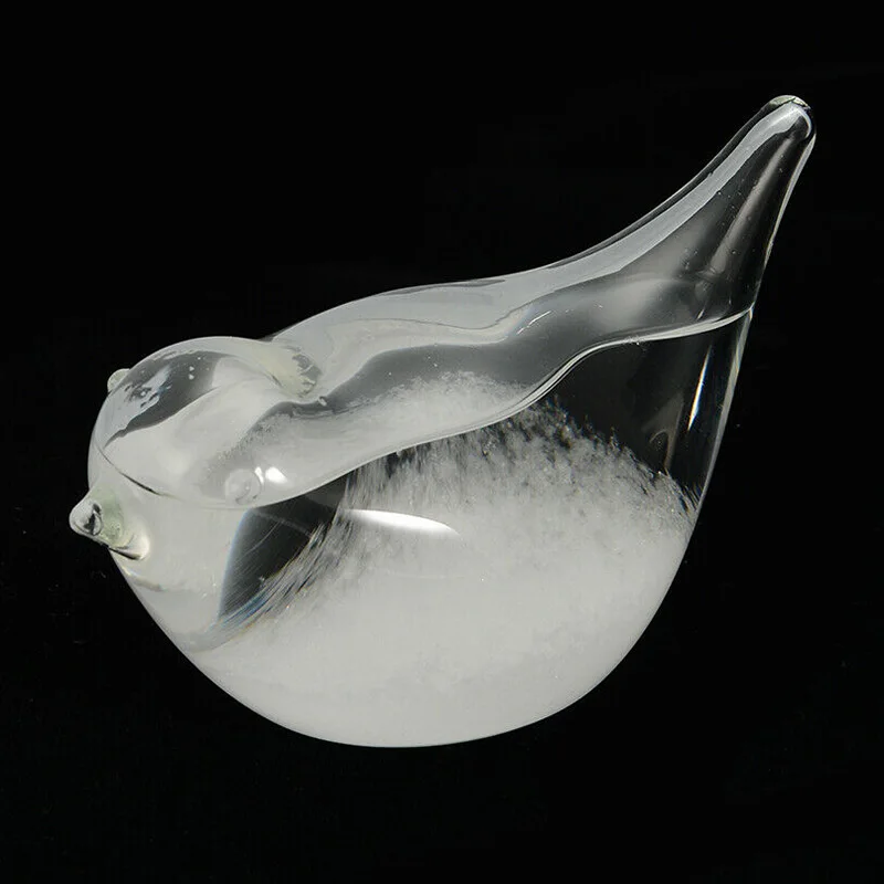

Weather Forecast Glass Water Bottle Base Christmas Table Decoration for Home Office ALI88