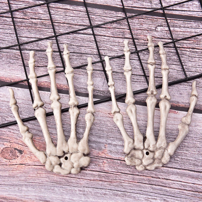 Модель человеческого анатомического костного скелета помощь в обучении