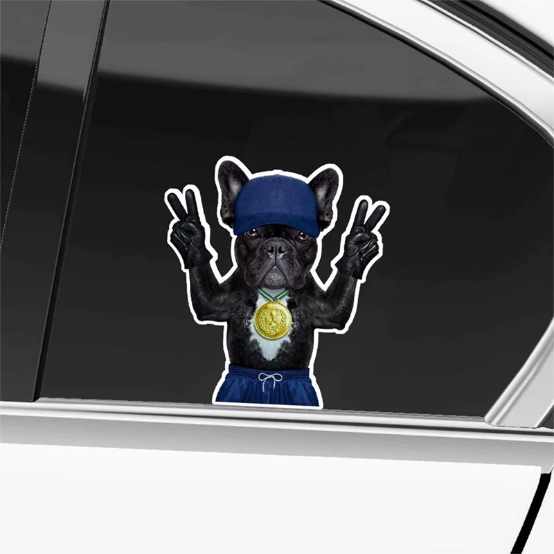 

Biinfu Dog Stickers Car Stickers, Trucks, Windows, Bumpers, Laptops, Vinyl Stickers Car Accessories Decorative Waterproof PVC