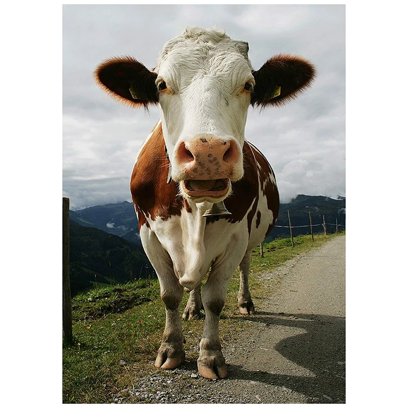 

Алмазная живопись, полный набор алмазов, картина стразы, художественное ремесло, украшение для двери дома (коровы под гор)