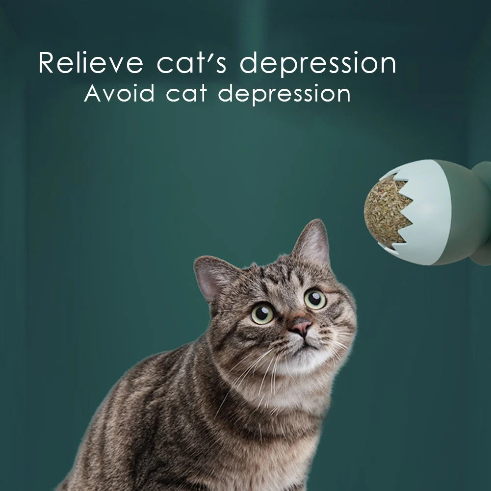 Натуральная кошачья мята игрушки для кошек уборка зубов в помещении котенок