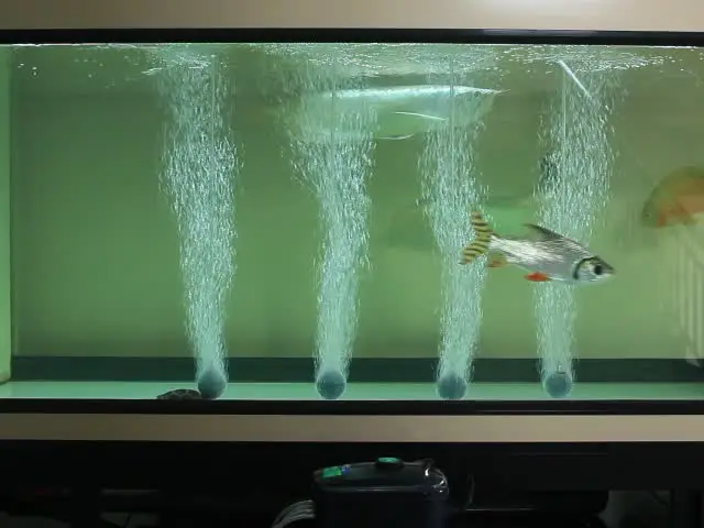 Сколько воздуха в аквариуме