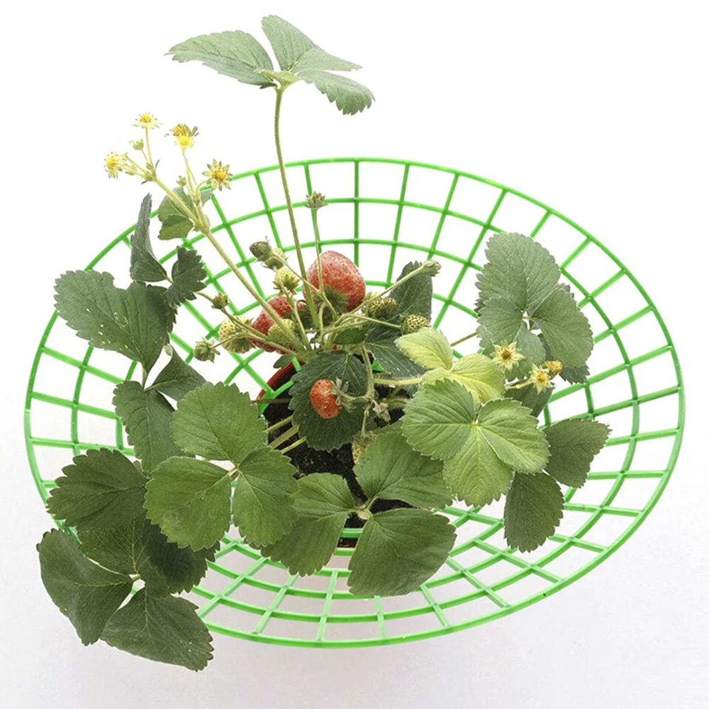 

2PCS Plant Climbing Trellis Strawberry Stand Frame Holder Rack Garden Trellis Support Plastic Gardening Plant Home Decorations