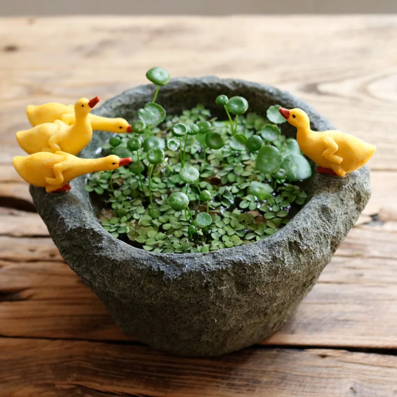 Креативный горшок для растений на гидропонике бонсай-суккулент искусственный