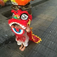 new lion southern mascot lion dance wool costume kids dress chinese folk art 2019 handmade cartoon character mascot costume gift