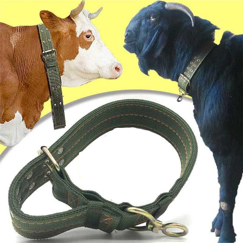 1Pc  Cattle Sheep Dog Goat Donkey Horse Cow Collar Canvas Belt Strong Durable Necklace Belay Tie Veterinary Equipment