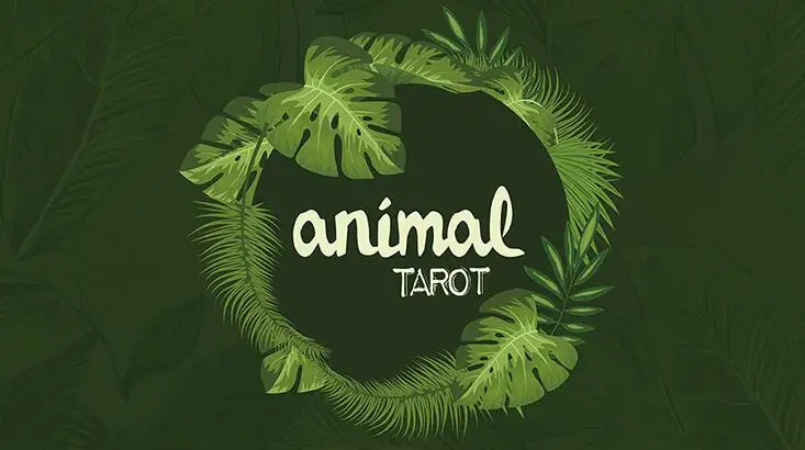 

Animal Tarot by The Other Brothers- MAGIC TRICKS