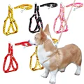 Pet Dog Harness and Leash Adjustable Collar Pet Products for  Cat Small Dogs Outdoor Walking Puppy Accessories