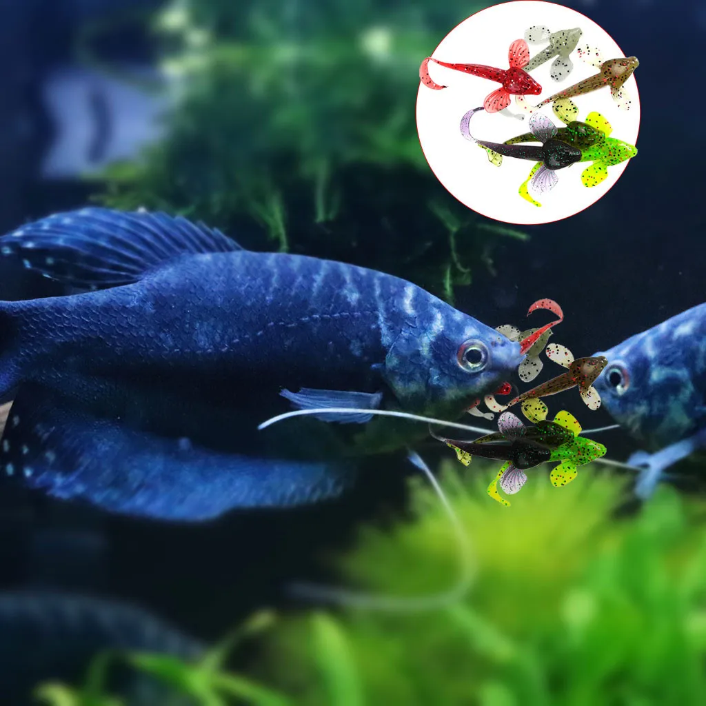 1 | Спорт и развлечения