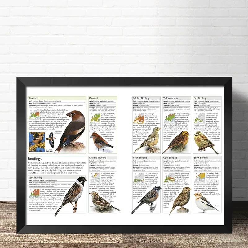 Холст для живописи печать скандинавский HD модульная фотографии птиц в саду видов