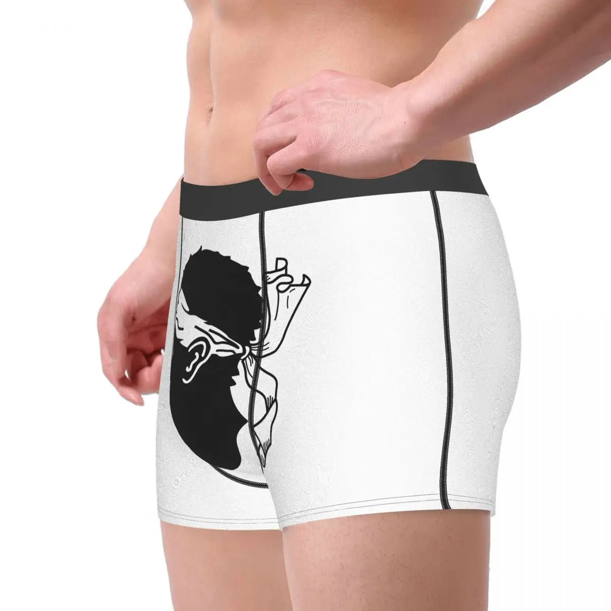 Flag Of Corsica Men's Boxer Briefs Flags of the regions of France Nerd elastic pants for men
