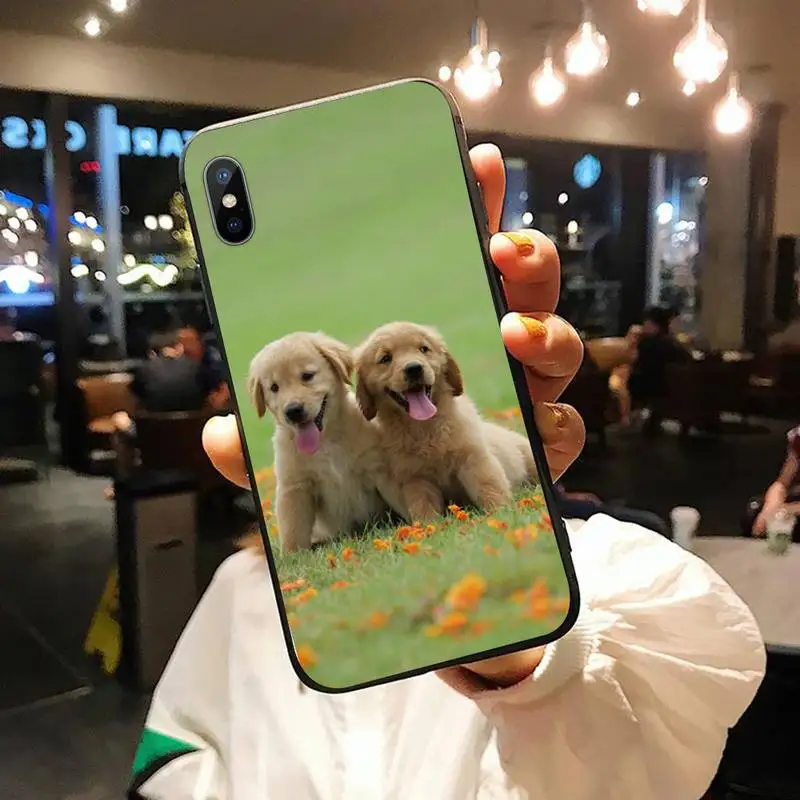 

Labrador Puppies Dog cute animal Phone Cases for iPhone 11 12 pro XS MAX 8 7 6 6S Plus X 5S SE 2020 XR