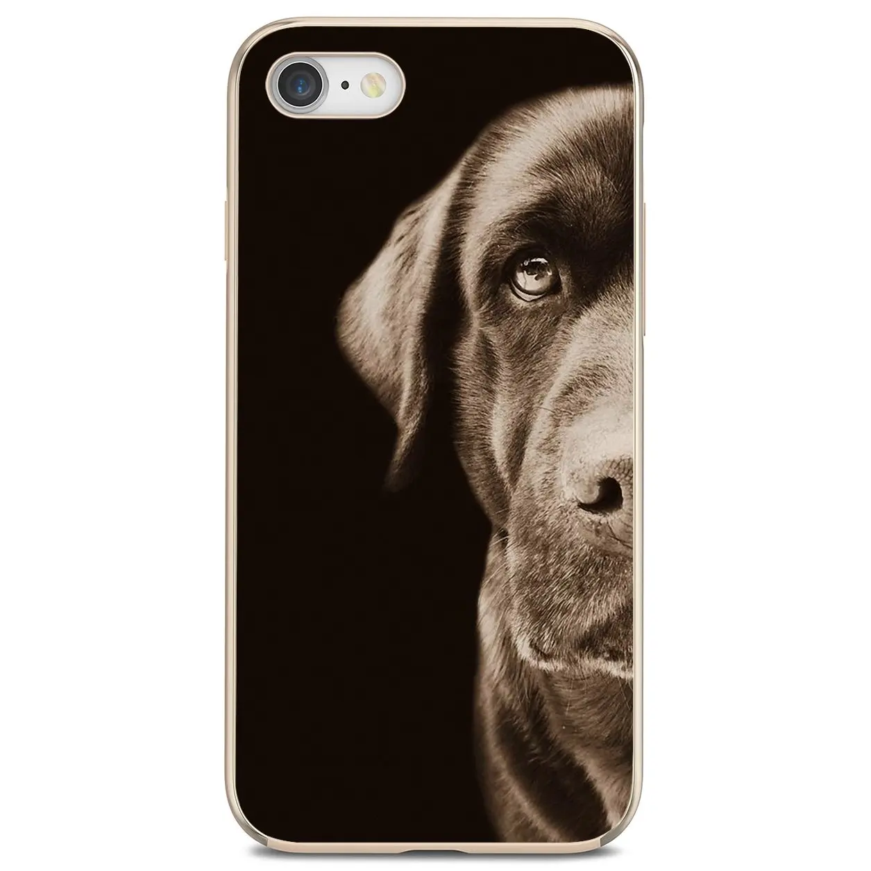 Мягкий чехол с рисунком hello Black Lab щенок Лабрадора для iPod iPhone 10 11 12 Pro Mini 4S SE 5C 6 6S 7 8 X XR