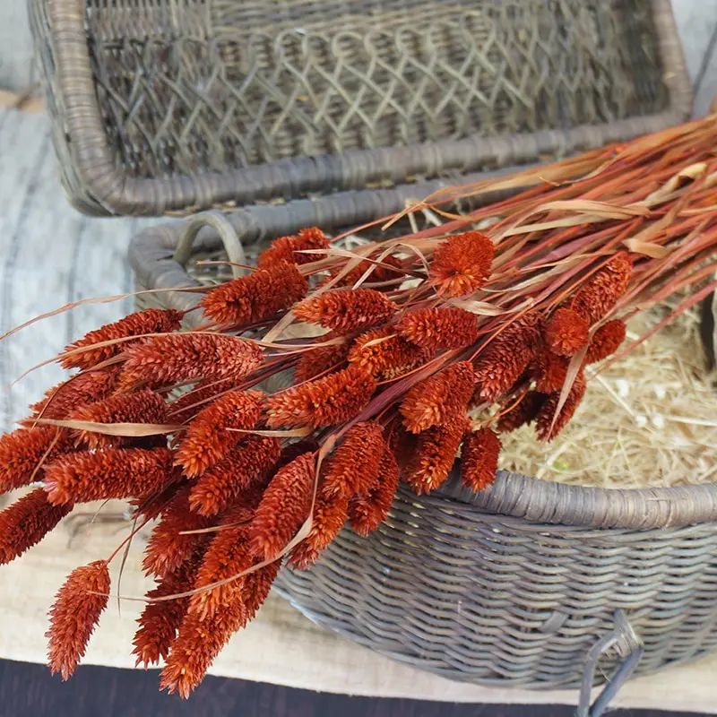 Букет высушенных цветов букеты имитация натуральных растений для украшения дома