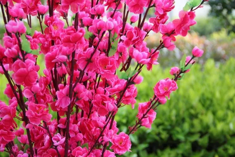 115CM height Artificial Cherry Spring Plum Peach Blossom Branch Silk Flower Tree For Wedding Party Decoration pink white red | Дом и сад