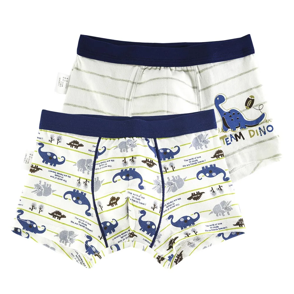 Детские трусы боксеры из 2 предметов 4 года детское нижнее белье трусики в форме