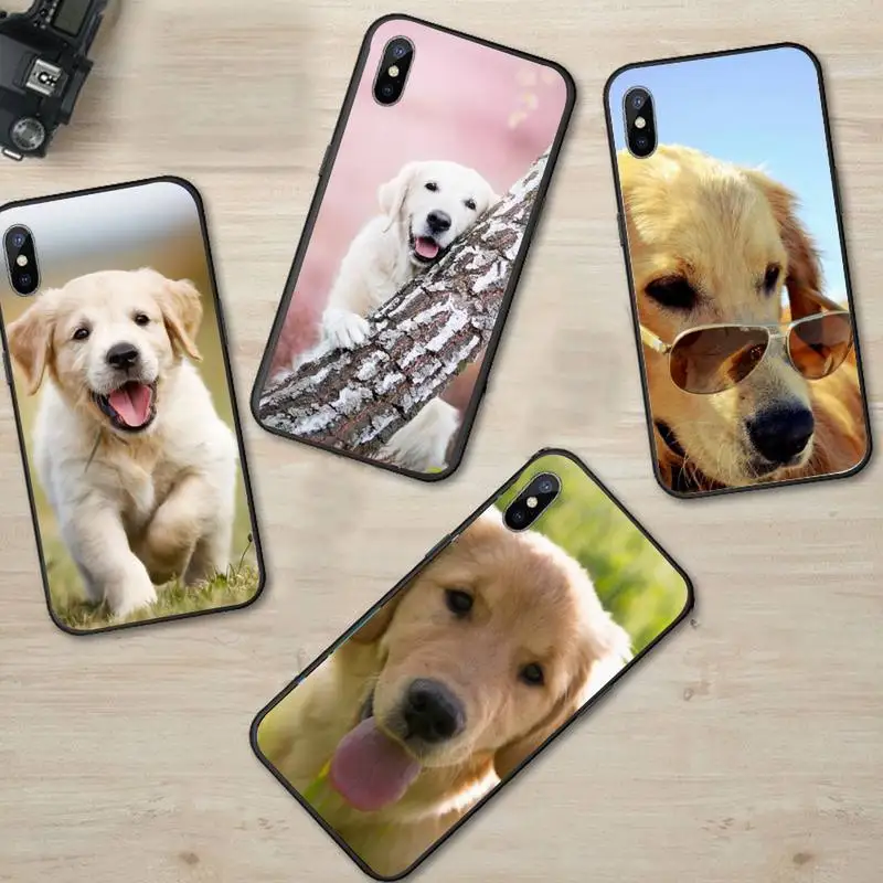 

Golden retriever dog cute Phone Case For iphone 12 11 13 7 8 6 s plus x xs xr pro max mini