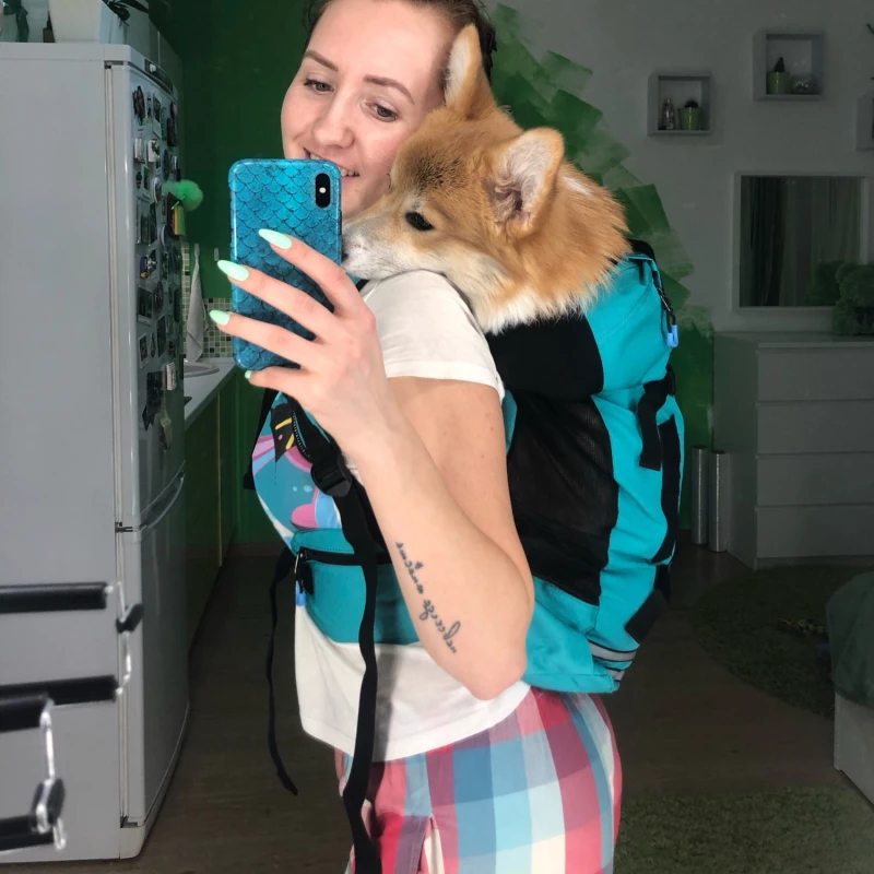 Внешняя фотография для маленьких и средних собак фотоотражающие дорожные сумки