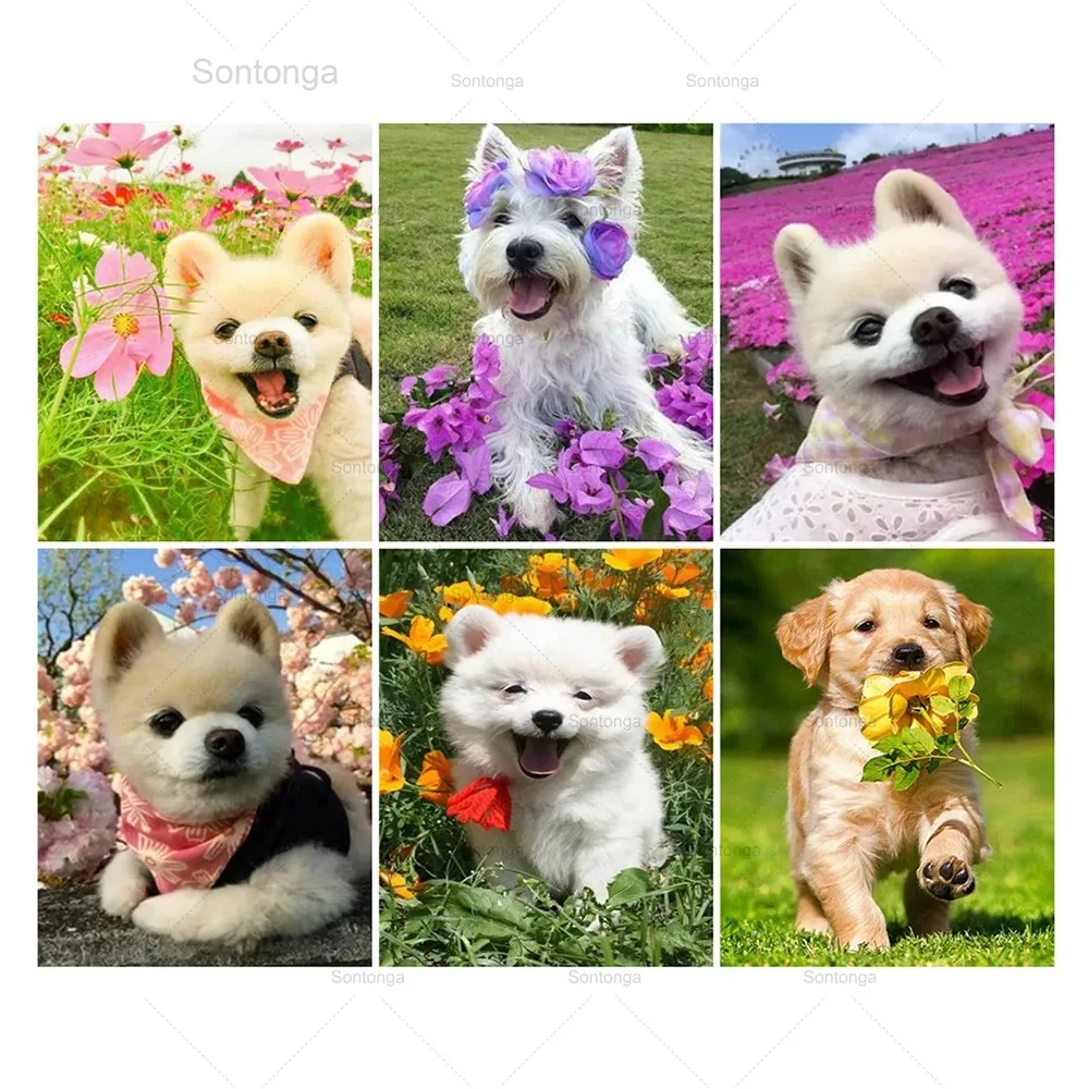 

Sontonga 5D Diy Full Square/round Diamond Painting Cute Smiling Dog Diamond Embroidery Sale Animal Handicraft Decor for Home