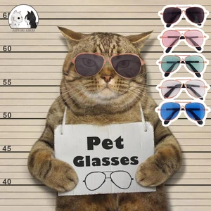 2021 New Pet Products Fashion Cat Sunglasses Reflection Eye Wear Flying Glasses for Small Dog Cat Pe in USA (United States)