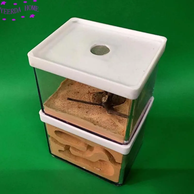 Легко Diy муравьиная ферма с питанием площадка муравьев замок корма для животных насекомых домашняя мастерская насекомых Ландшафтный корпус мастерской