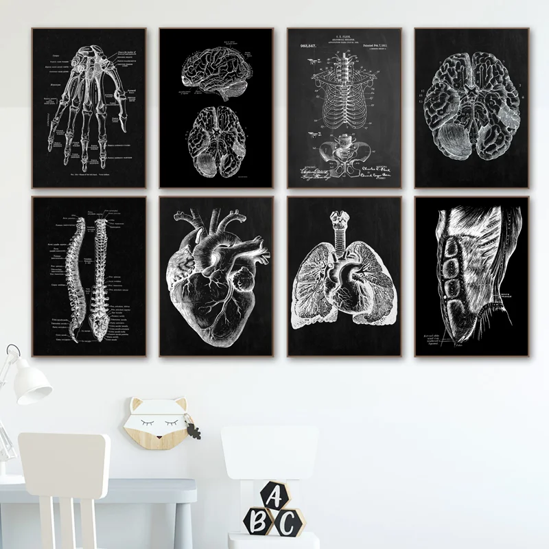 

Nordic Posters Muscle Bone Heart Anatomy Skeleton Wall Art Canvas Painting Prints Wall Pictures For Doctor Office Decor