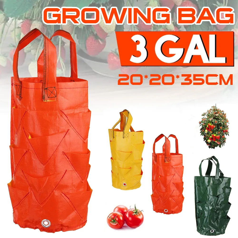 

Strawberry Grow Planting Bag 3 Gallon Planting Bags PE Nursing Pots with Handles Vegetable Growing for Indoor/Outdoor