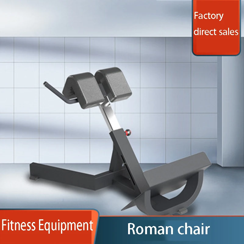 

Commercial fitness equipment Roman chair gym indoor goat stand up dedicated fitness chair