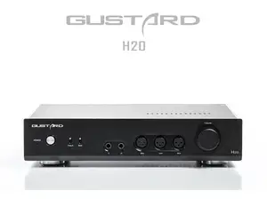 Стерео наушники GUSTARD H20 с полным балансом класса А с усилителемаудио HiFi