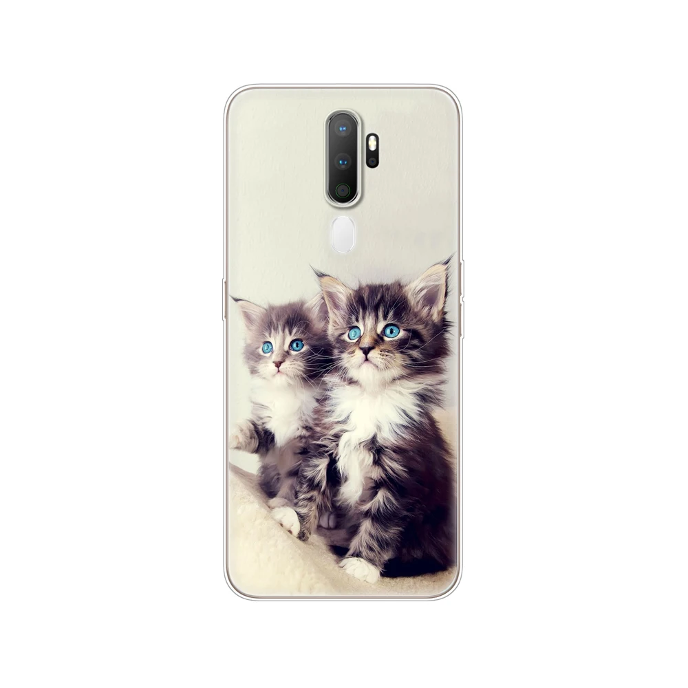 Cat Dog Cartoon Cute|Бамперы| |