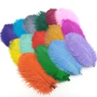 10 шт. страусиные перья для рукоделия, самодельные украшения, свадебные вечерние украшения для дома, аксессуары для рукоделия 15-20 см