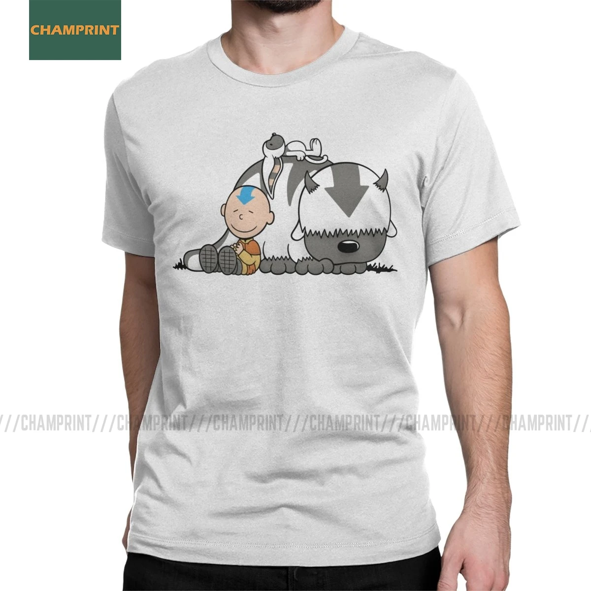 Вы стрелы Аватар Легенда Об Аанге футболка Для мужчин 100% хлопковые смешные