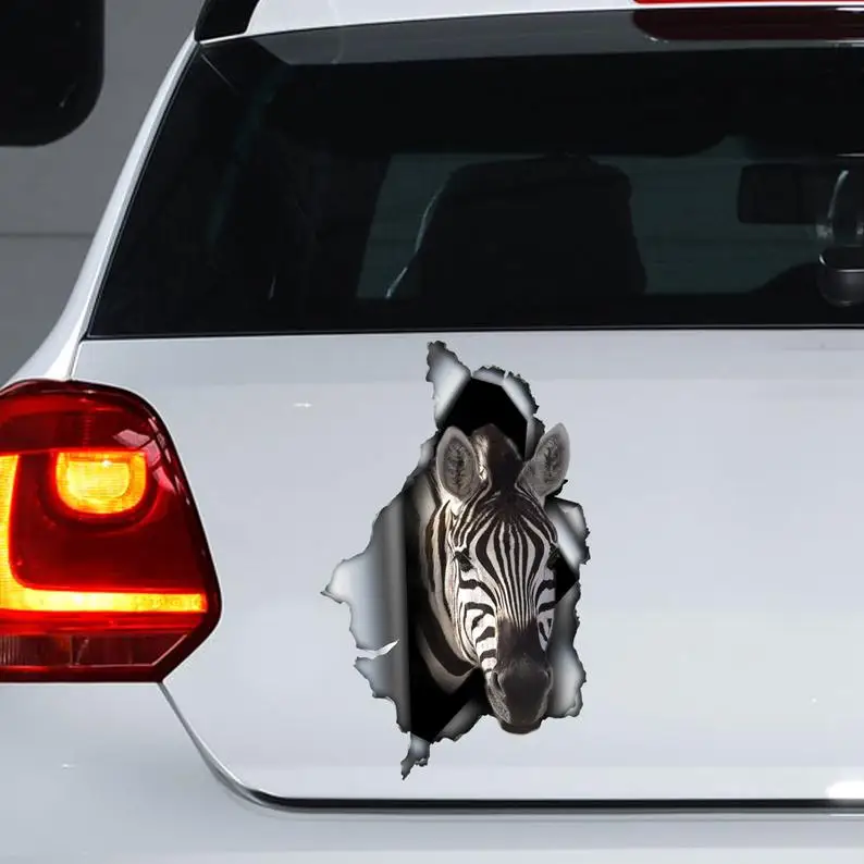 

Zebra car decal , Zebra magnet, Zebra sticker