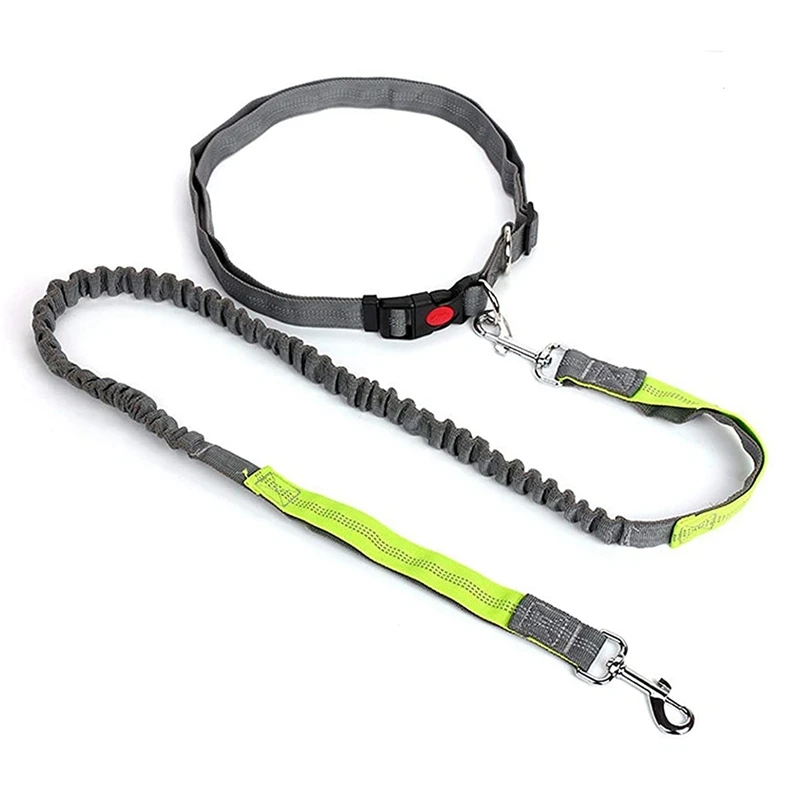 Hands Free Dog Leash Retractable Running Elastic Bungee Belt Jogging Lead with Waist | Дом и сад