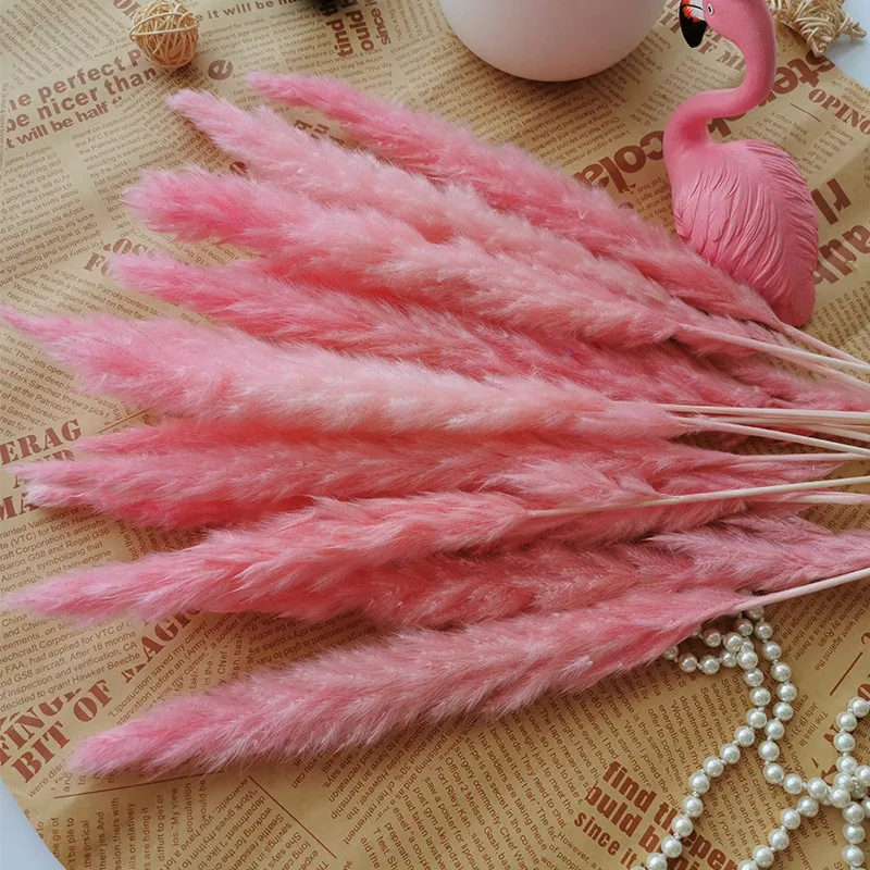 

College Graduation Bouquet Holder Pampas Grass 15pcs Colorful Decorative Plants Dry Flower Garden Party Dekoration Home Decor