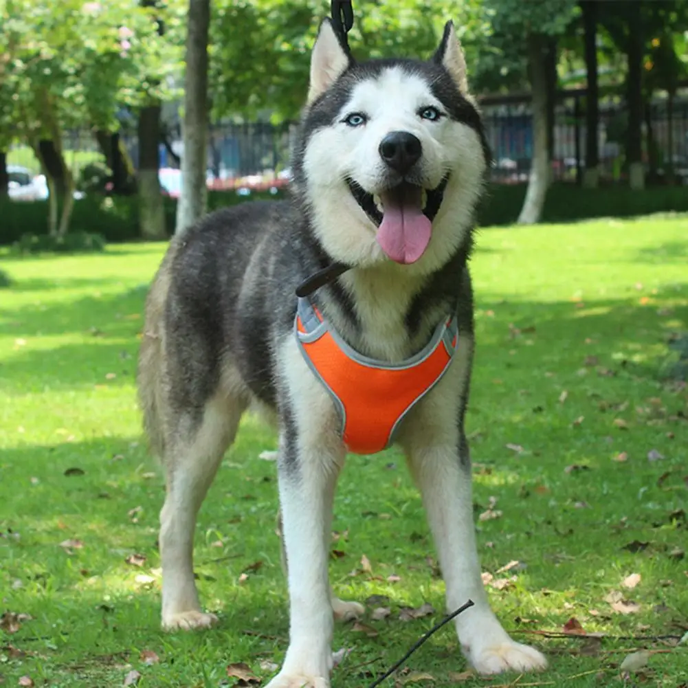 

Dog Harness Reflective Skin-friendly Oxford Cloth Pet Vest Chest Strap Small Large Running Training French Bulldog