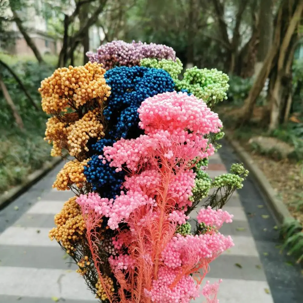 

80g/30-40cm,Natural Preserved Mi Flower Bouque,Display Flower for Wedding Party Home Decoration accessories,arrange flowers