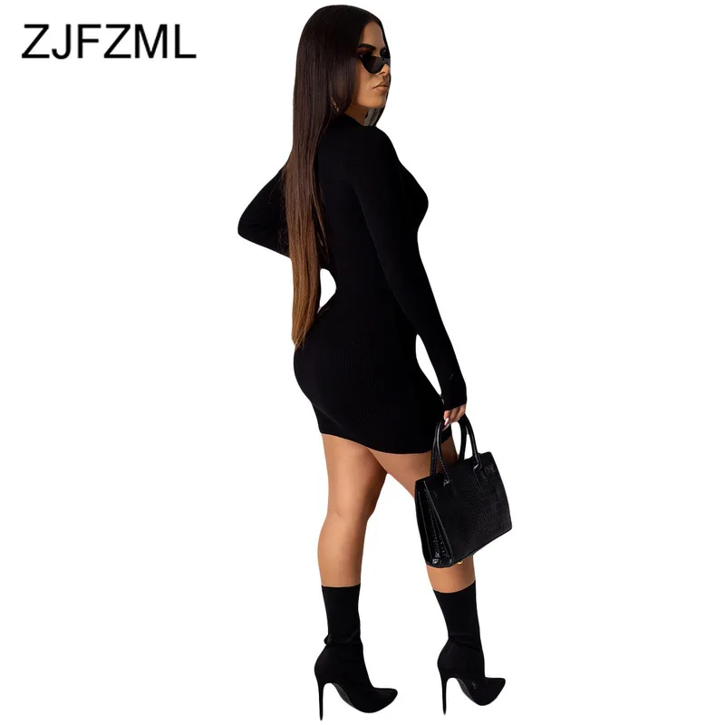 

High Waisted Autumn Winter Bodycon Dress Women Deep V Neck Long Sleeve Slim Fit Dress Casual Solid Color Front Zipper Mini Dress