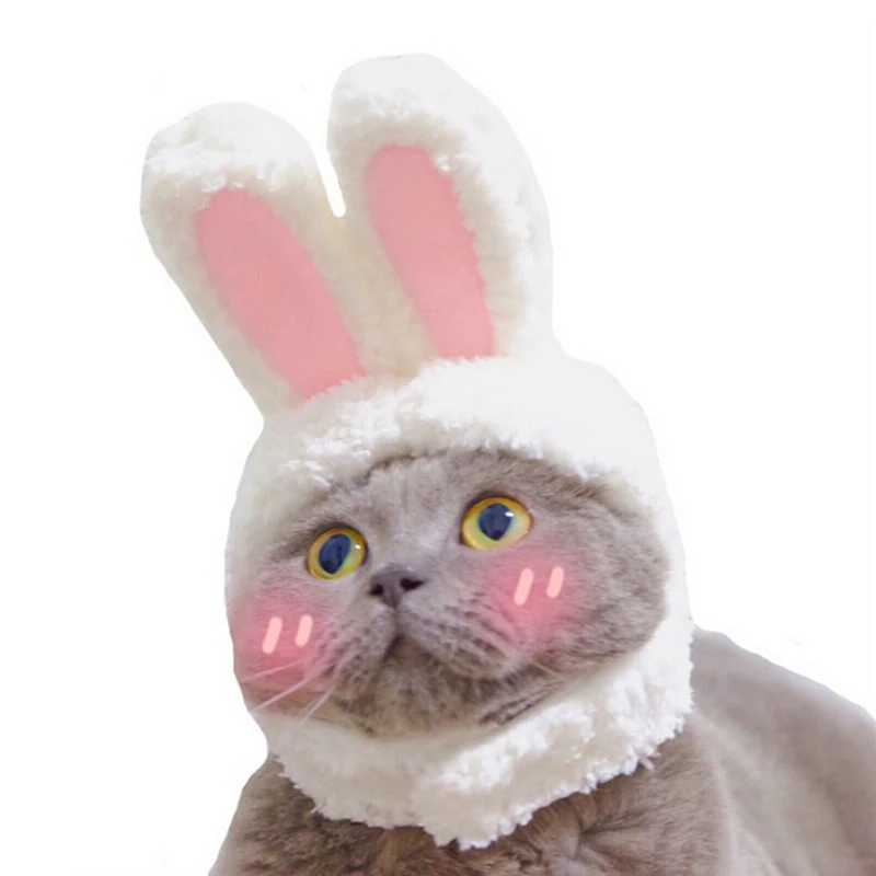 Милая женская шапка с кроликом модная для кошек и собак повседневная холщовая